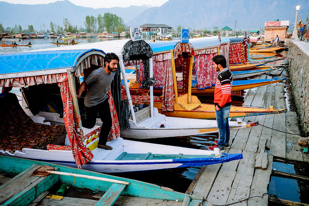 kashmir